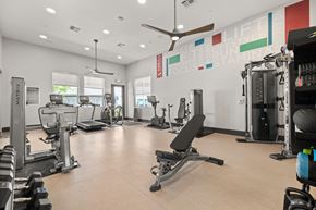 Rohnert Park apartment for rent - a gym with treadmills and other exercise equipment