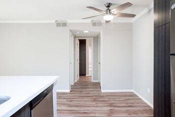 Ceiling fan