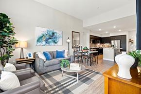 San Diego apartment for rent - A living room with a grey couch and a blue pillow.
