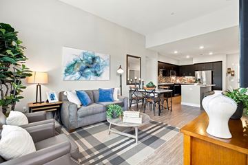 San Diego apartment for rent - A living room with a grey couch and a blue pillow.