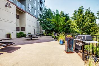 Bbq areas