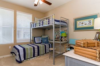 Decorative window blinds*