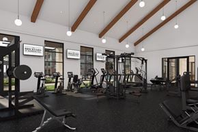 Mont Belvieu apartment for rent - A gym with a variety of equipment including weights and machines.
