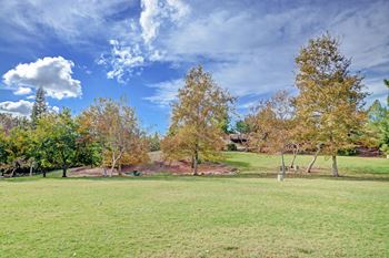 Greenbelt view a