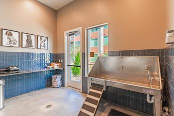 Luxe dog wash