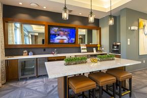 The Woodlands apartment for rent - Clubhouse at Townhomes at Woodmill Creek, Texas, 77380