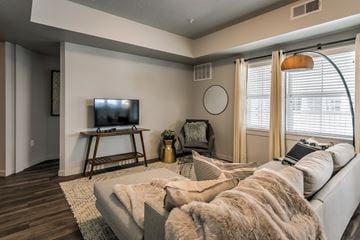 Meridian apartment for rent - A living room with a grey couch and a wooden entertainment center.