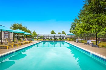 Swimming pool with relaxing loungers