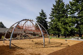 Community playground
