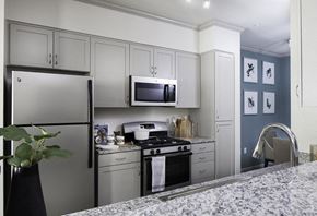 La Mesa apartment for rent - kitchen at Seta Apartments