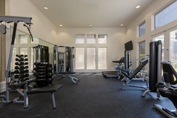 Echelon workout mirror