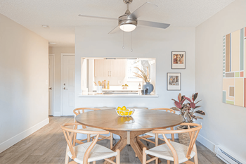 Ceiling fans