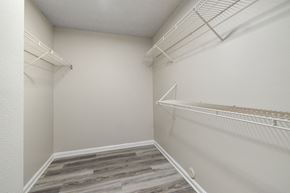Greensboro apartment for rent - Closet at The Madison at Adams Farm, North Carolina, 27407