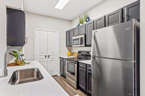 Arlington apartment for rent - A kitchen with pantry, onyx cabinets, and stainless steel appliances at Bardin Greene apartments for rent in Arlington, TX.
