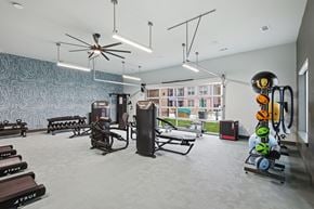 Prosper apartment for rent - A gym with a variety of equipment including weights and a fan.