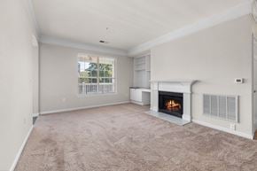 Morrisville apartment for rent - Room with fireplace at The Lex at Brier Creek, North Carolina, 27560