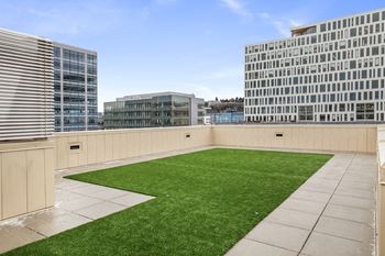 Rooftop dog park