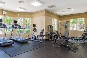 Chula Vista apartment for rent - A gym with treadmills, elliptical machines, and other exercise equipment.