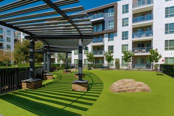 Central open space with dog park and social spaces for gathering*