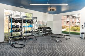 Sandy Springs apartment for rent - A gym with a variety of equipment including weights and a bench.