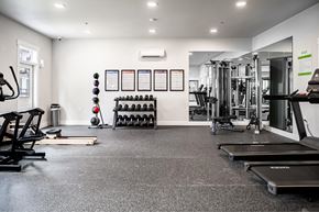 Vancouver apartment for rent - a gym with weights and cardio equipment on the floor and a wall of posters at The Farmstead, Washington, 98684