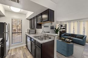 Chapel Hill apartment for rent - a kitchen and living room with a sink and a refrigerator