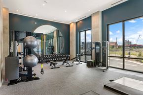 Tampa apartment for rent - the gym has a view of the city