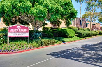 Walking paths throughout the community