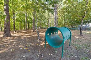 Morrisville apartment for rent - Pet park at The Lex at Brier Creek, Morrisville, 27560