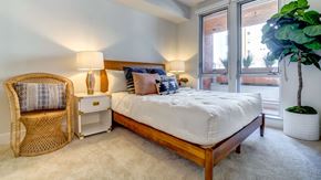 Berkeley apartment for rent - A bedroom with a bed, chair, and potted plant.