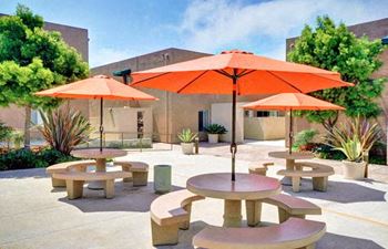 Picnic area with barbecues
