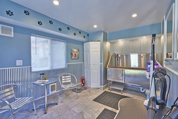 State of the art dog grooming center equipped with washing and drying stations