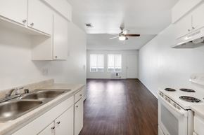 Vista apartment for rent - kitchen at Softwind Point Apartments