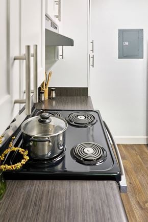 Morgan Hill apartment for rent - A modern kitchen with a black stove top and a wooden counter.