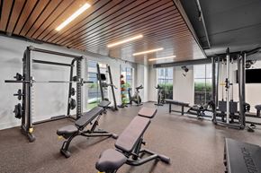 Charleston apartment for rent - A gym with a variety of equipment including a squat rack, bench, and weights.