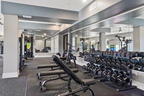 Gilbert apartment for rent - a gym with cardio equipment and weights on the floor and mirrored walls