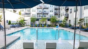 Charlotte apartment for rent - A large outdoor swimming pool with lounge chairs and umbrellas.