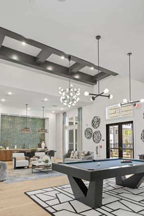 Raleigh apartment for rent - A pool table is in the middle of a room with a black and white rug.