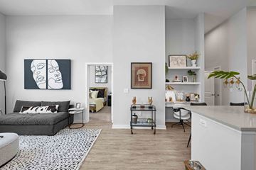 Charlotte apartment for rent - A living room with a grey couch and a white wall.