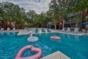 San Antonio apartment for rent - A pool with inflatable hearts and an inflatable swan at The Quarry Alamo Heights Apartments, Texas