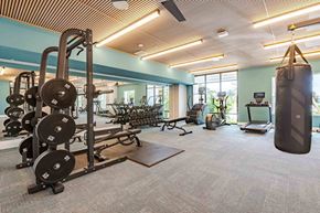 Longwood apartment for rent - A gym with a variety of equipment including weights and a punching bag.