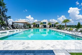 Land O'lakes apartment for rent - A large swimming pool with a tiled edge and a building in the background.