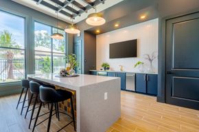 Land O'lakes apartment for rent - A kitchen with a bar area and a flat screen TV mounted on the wall.