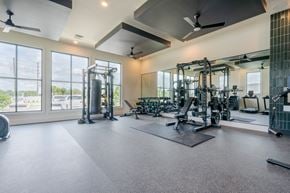 Land O'lakes apartment for rent - A spacious gym with a variety of equipment and a large window.
