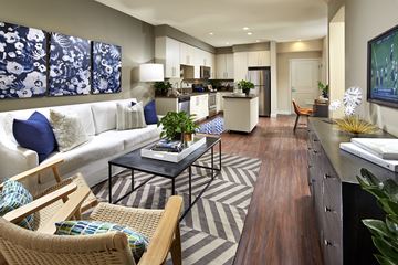 San Jose apartment for rent - A modern living room with a white sofa and a black and white striped rug.