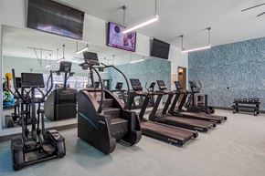 Prosper apartment for rent - A gym with treadmills and elliptical machines.