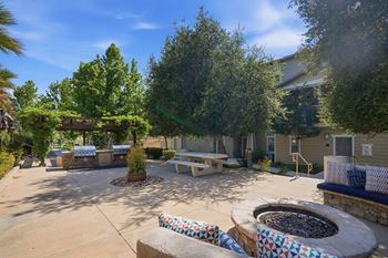 Outdoor grilling and picnic areas with fire pit