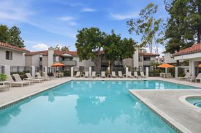 Vista apartment for rent - A large swimming pool surrounded by lounge chairs and trees.