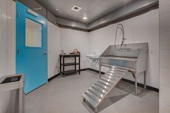 Pet spaw with grooming station