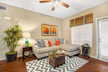 Chula Vista apartment for rent - A living room with a couch, a plant, and a painting on the wall.